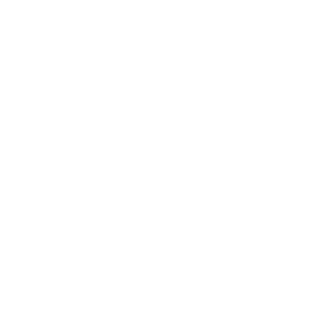 PARTY CAMP LOGO